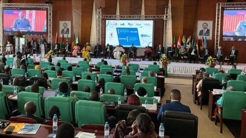 Cameroun: Yaoundé accueille la conférence internationale sur le paludisme